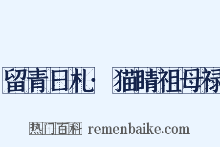 留青日札·猫睛祖母禄是什么意思的图片